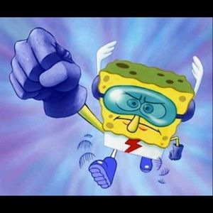 Meet your Posher, Ronnie